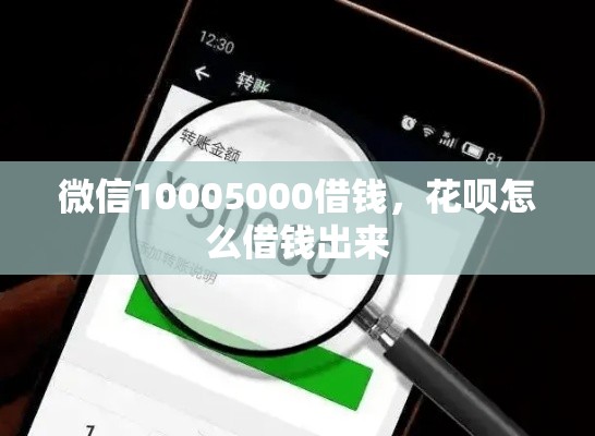 微信10005000借钱，花呗怎么借钱出来