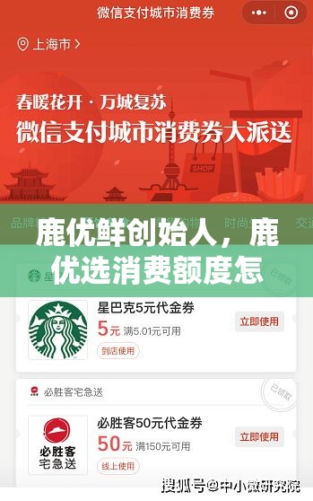 鹿优鲜创始人，鹿优选消费额度怎么套