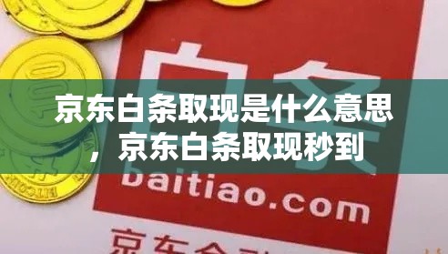 京东白条取现是什么意思，京东白条取现秒到