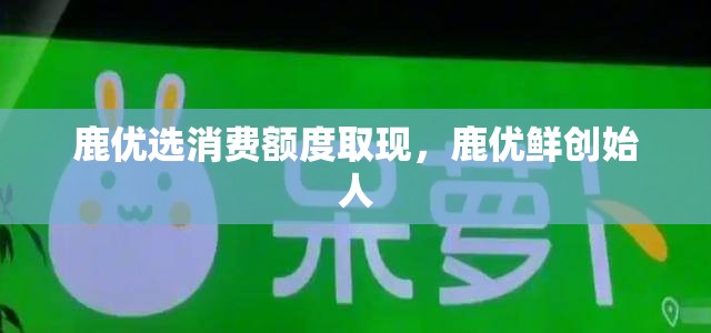 鹿优选消费额度取现，鹿优鲜创始人