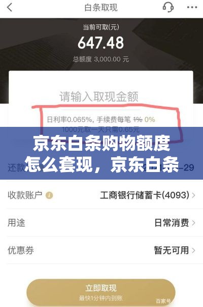 京东白条购物额度怎么套现，京东白条购物额度怎么套出来