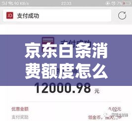 京东白条消费额度怎么套，白条额度怎么套出来自己用京东白条套取方法步骤