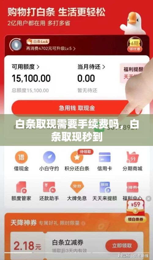 白条取现需要手续费吗，白条取现秒到