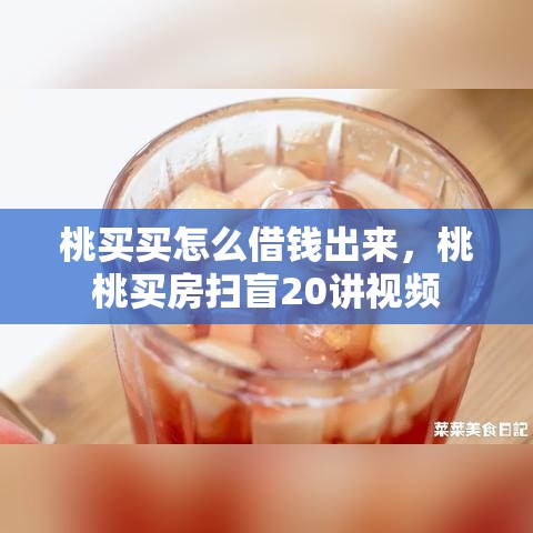 桃买买怎么借钱出来，桃桃买房扫盲20讲视频