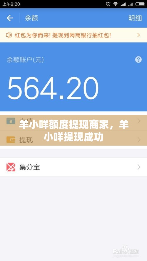 羊小咩额度提现商家，羊小咩提现成功