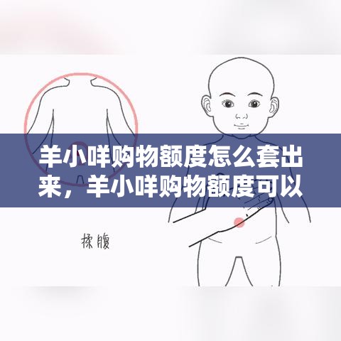 羊小咩购物额度怎么套出来，羊小咩购物额度可以套出来吗?