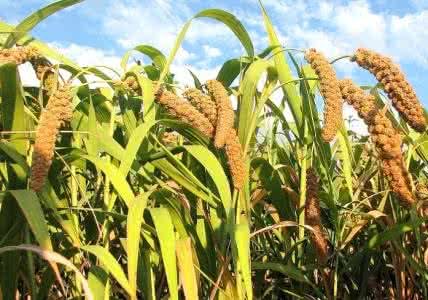 江苏女富豪排行榜2025年，2020年江苏富豪