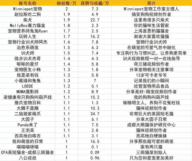 2025宠物博主排行榜前十名,2025跨境宠物用品赛道，如何年入千万？