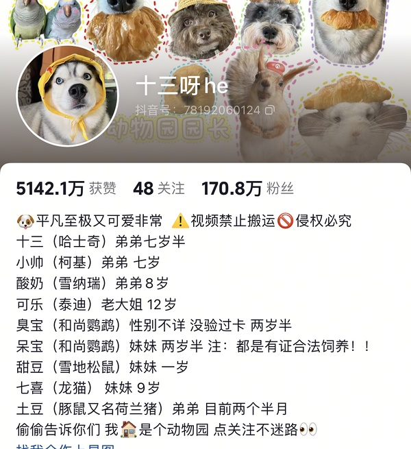 取小红书名字抖音最火的宠物博主