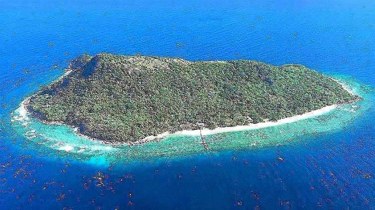 2025年3-4月份金价2020年3月份涨幅最大的股票