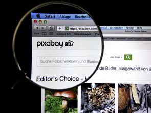 抖音水果销量排行榜2025，抖音水果谁销售的最好