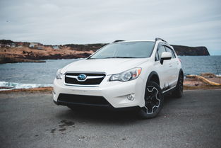 2025年汽车销售，中国汽车2025年一月份排行榜