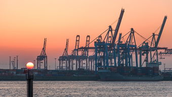 九号电动车 发布，2025九号电动车销量排行榜